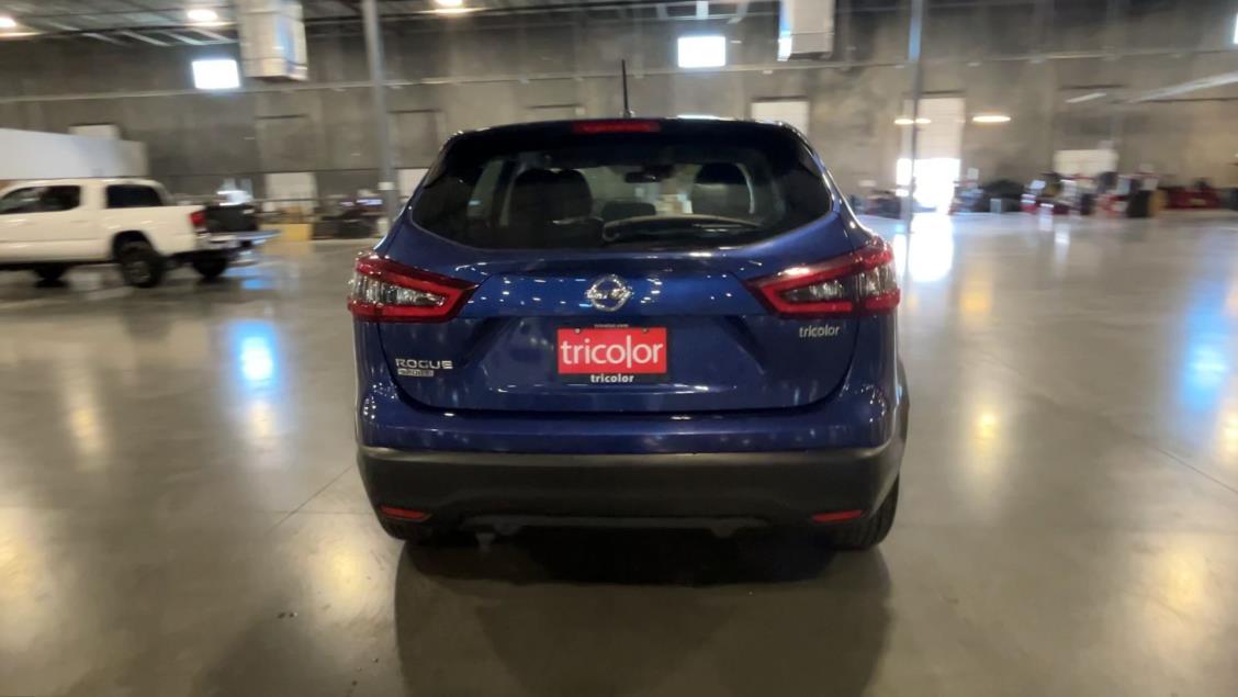 Tricolor Image